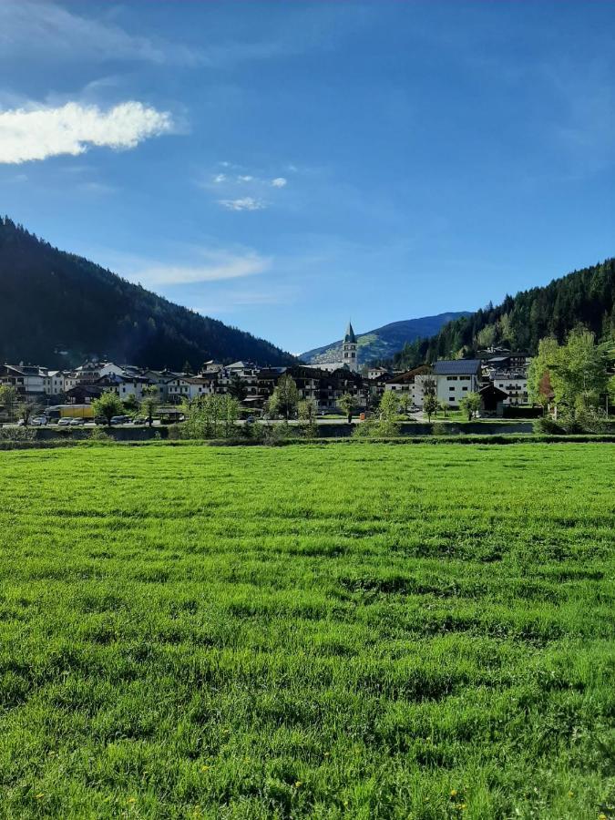 Hirsch Haus Apartamento Santo Stefano Di Cadore Exterior foto